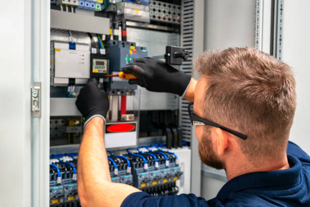 Best Electrical System Inspection  in Blue Grass, IA