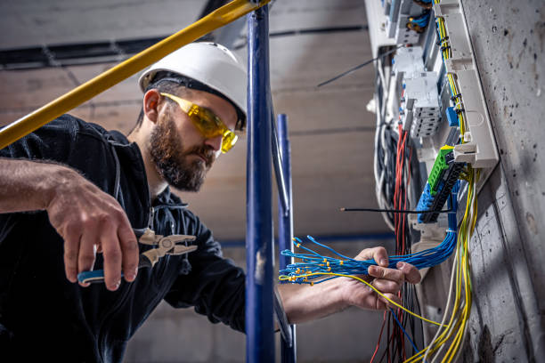 Best Electrical Upgrades for Homes  in Blue Grass, IA